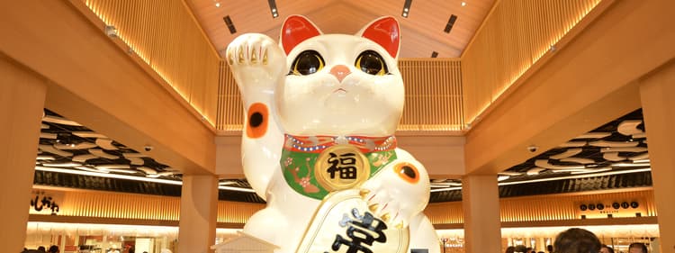 이온몰 도코나메