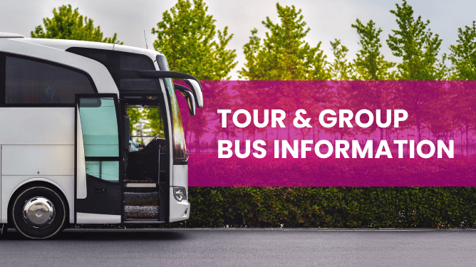 TOUR & GROUP BUS INFORMATION