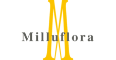Milluflora